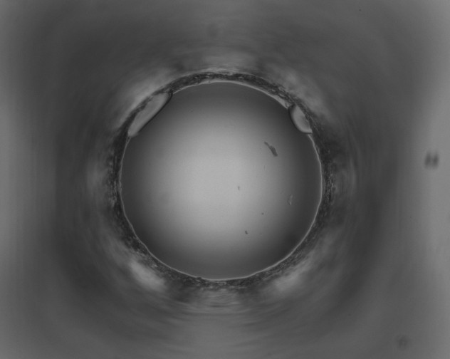 X0000096661256200802051210