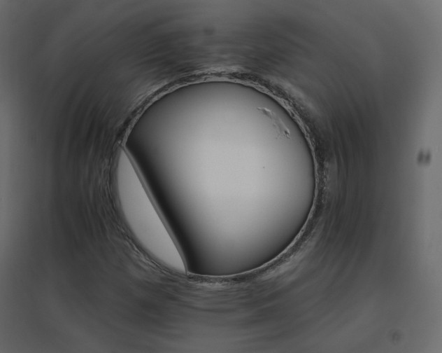 X0000096661257200802051210