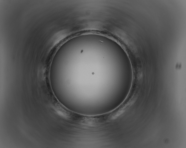 X0000096661258200802051210