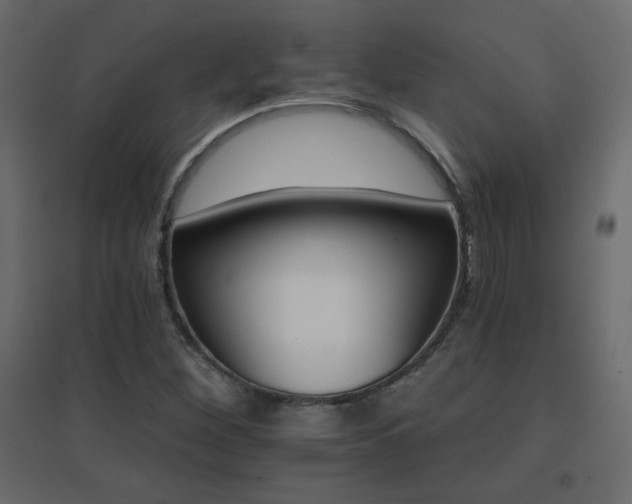 X0000096661260200802051210