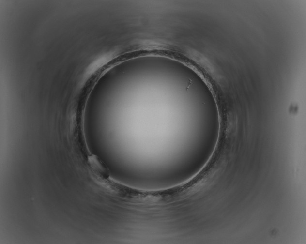 X0000096661261200802051210