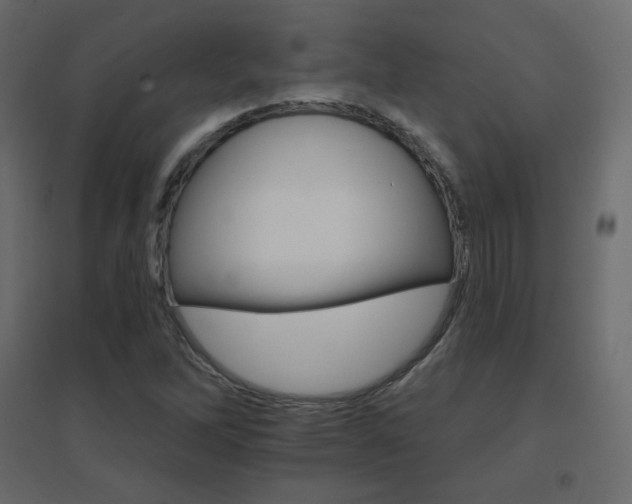 X0000096661262200802051210