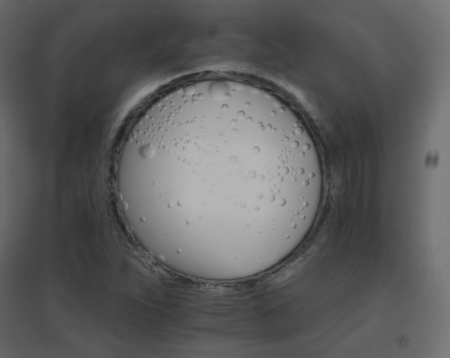 X0000096661263200802051210