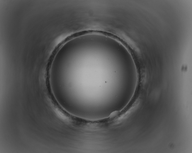 X0000096661264200802051210