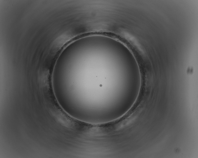 X0000096661265200802051210