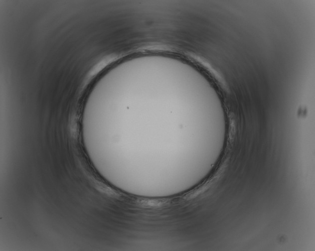 X0000096661266200802051210