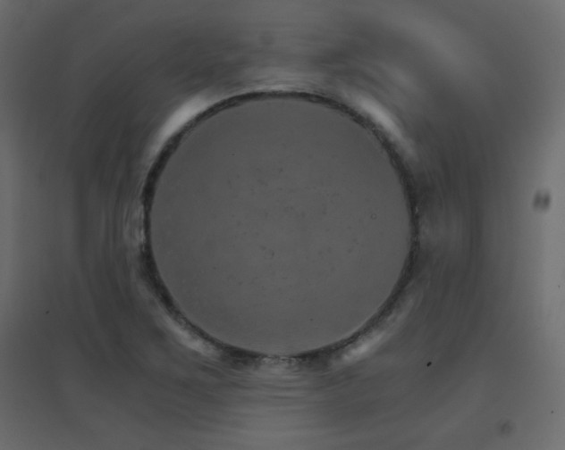 X0000096661267200802051210