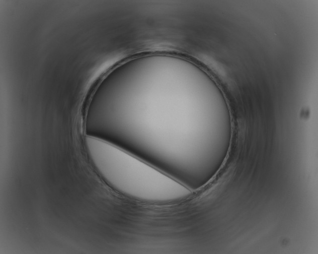 X0000096661269200802051210