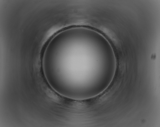 X0000096661270200802051210