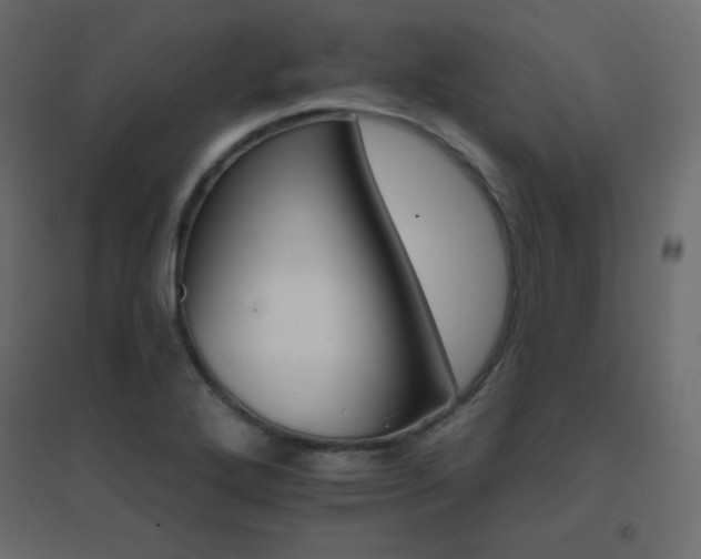 X0000096661272200802051210