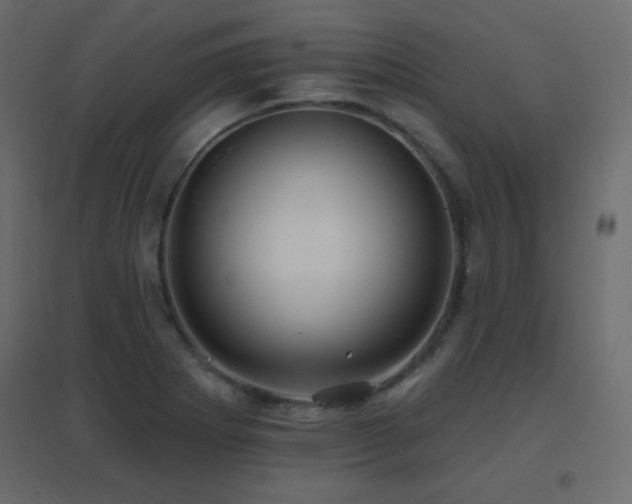 X0000096661273200802051210