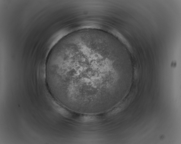 X0000096661274200802051210