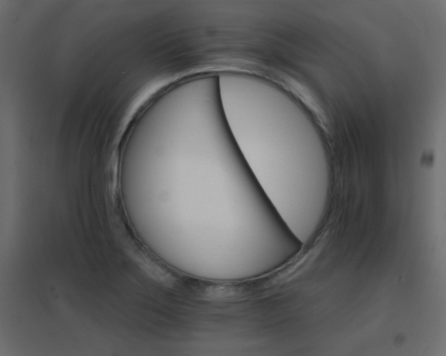 X0000096661275200802051210