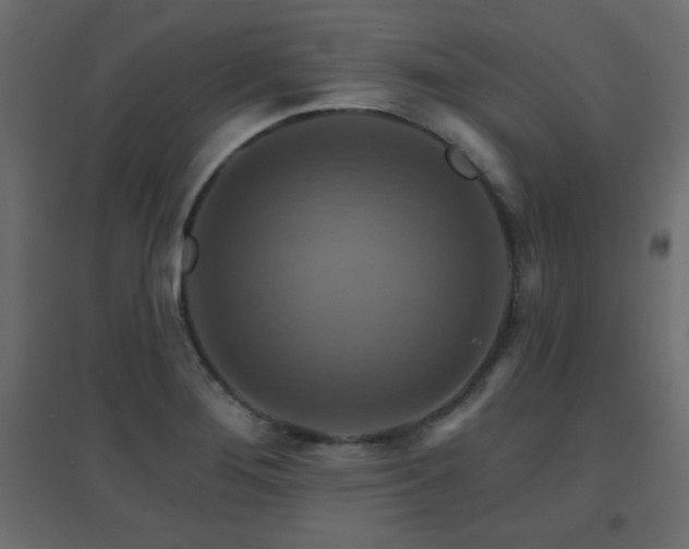 X0000096661276200802051210