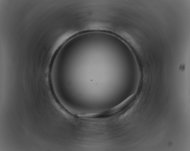 X0000096661277200802051210
