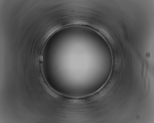 X0000096661281200802051210