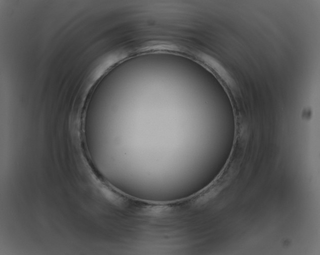 X0000096661282200802051210