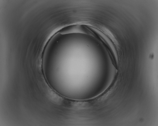 X0000096661284200802051210