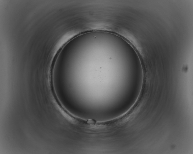 X0000096661285200802051210