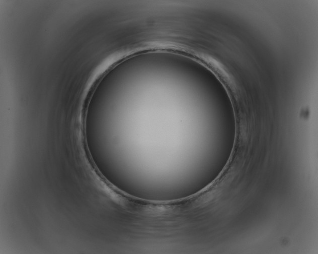 X0000096661286200802051210