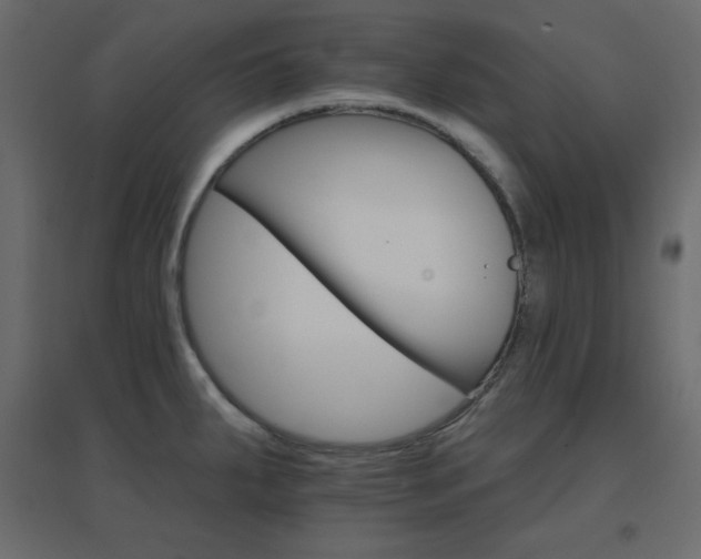X0000096661287200802051210