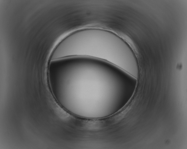 X0000096661288200802051210