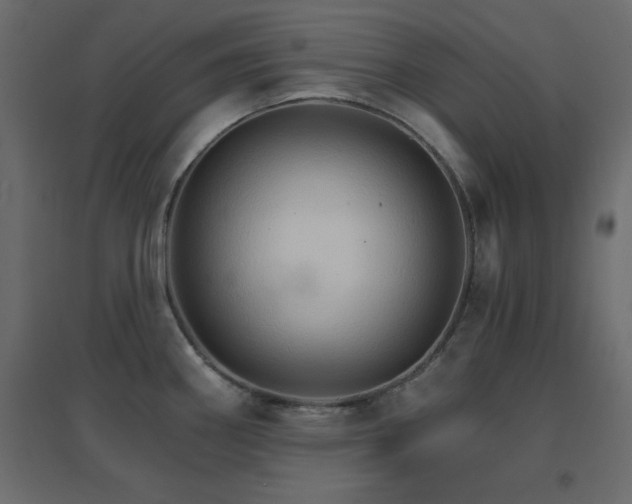 X0000096661290200802051209
