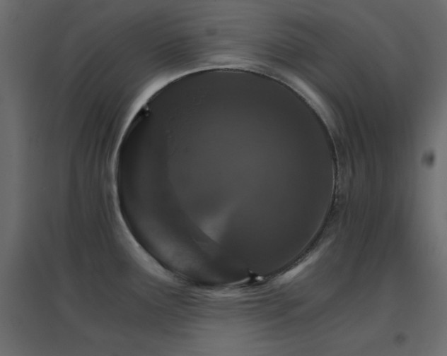 X0000096661291200802051209