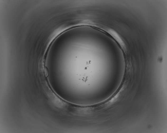 X0000096661292200802051209