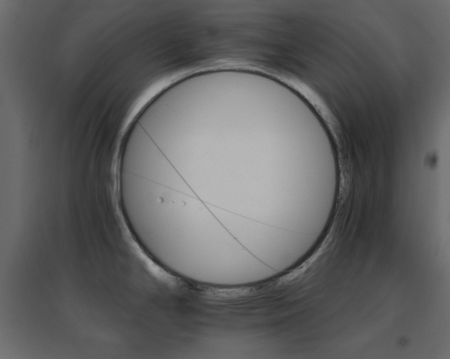 X0000096661294200802051209