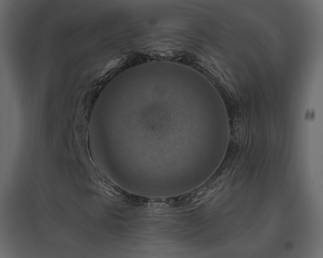 X0000096661297200802051209