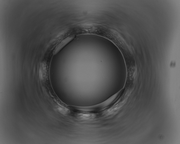 X0000096661298200802051209