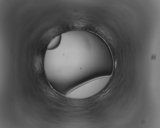 X0000096661299200802051209