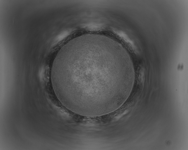X0000096661301200802051209