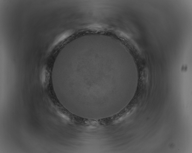 X0000096661302200802051209