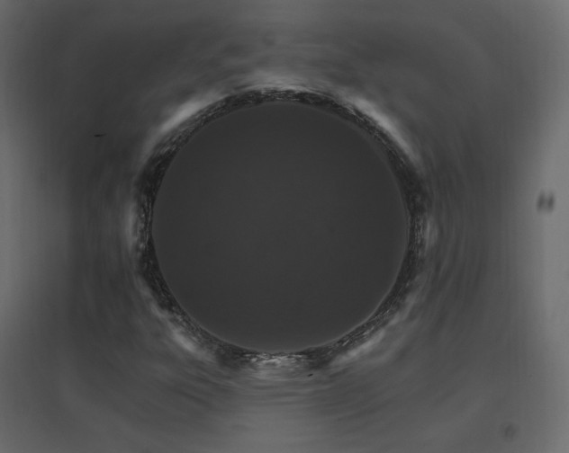 X0000096661303200802051209