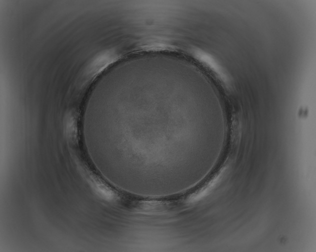 X0000096661305200802051209