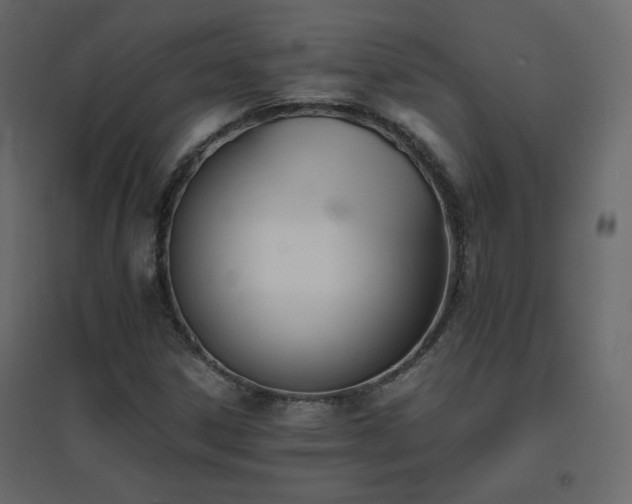 X0000096661306200802051209