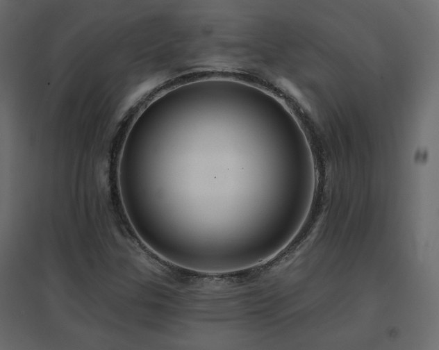 X0000096661307200802051209