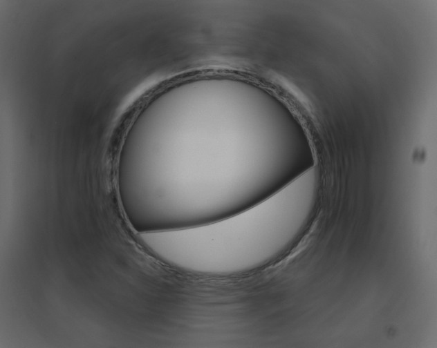 X0000096661310200802051209