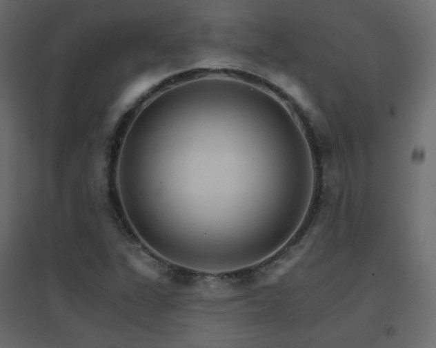 X0000096661311200802051209