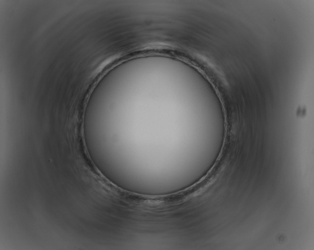 X0000096661313200802051209