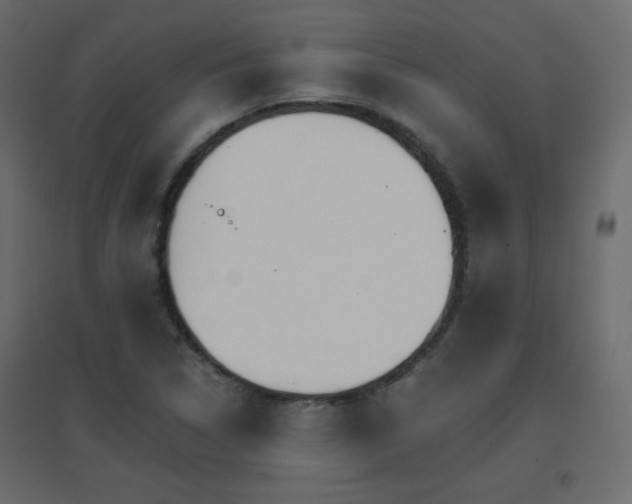 X0000096661314200802051209