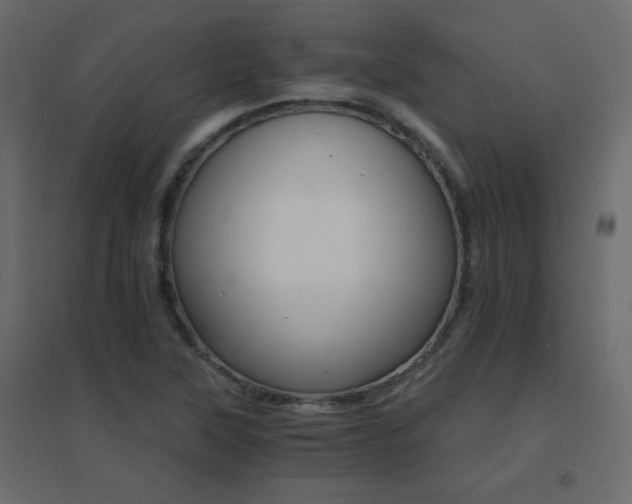X0000096661315200802051209