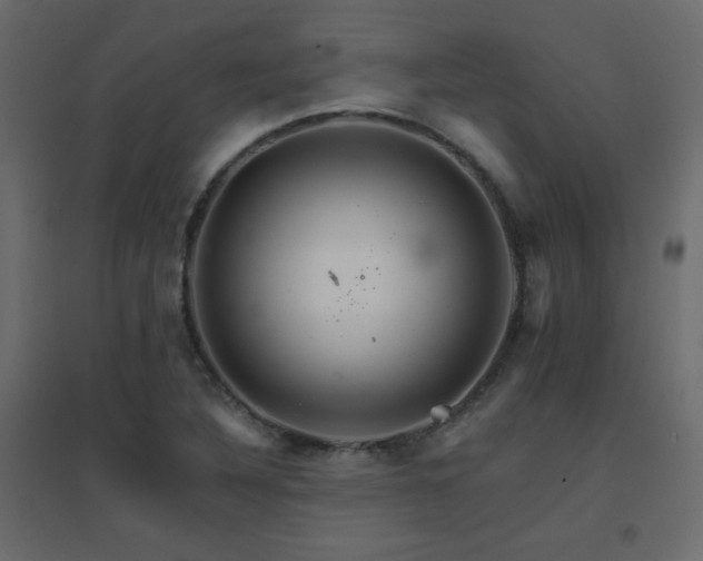X0000096661316200802051209