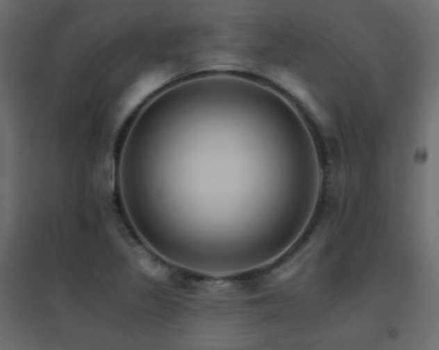 X0000096661317200802051209