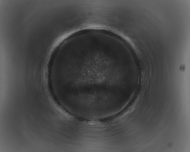 X0000096661319200802051209
