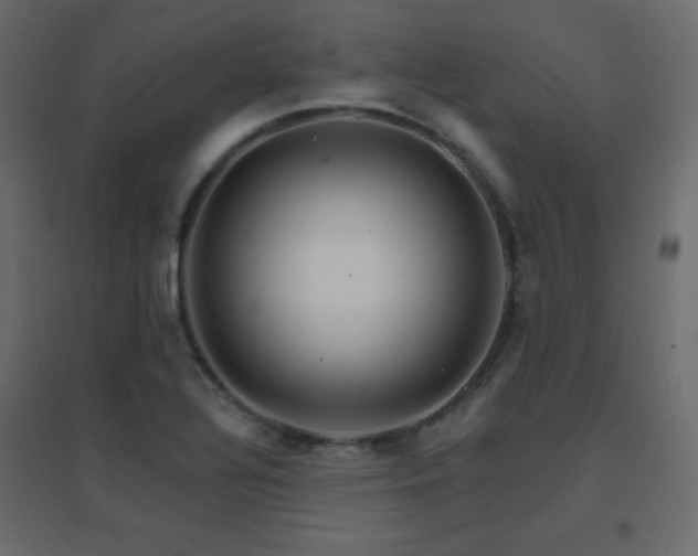 X0000096661320200802051209