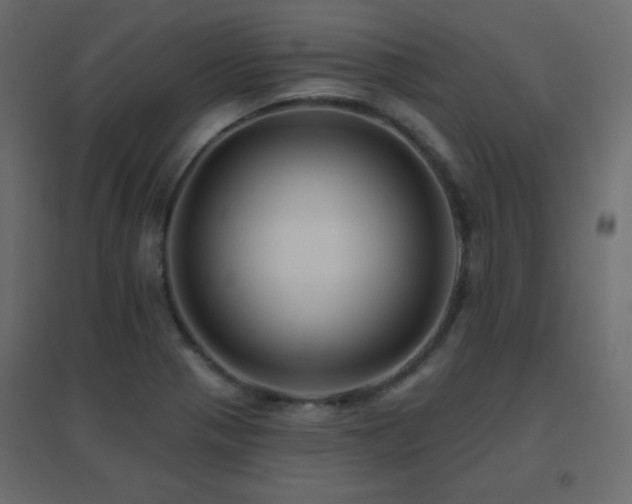 X0000096661321200802051209