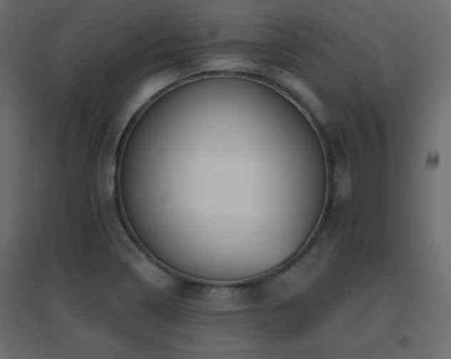 X0000096661322200802051209